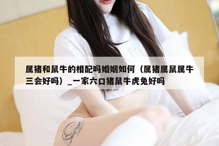 属猪和鼠牛的相配吗婚姻如何（属猪属鼠属牛三会好吗）_新澳门六开彩资料大全网址